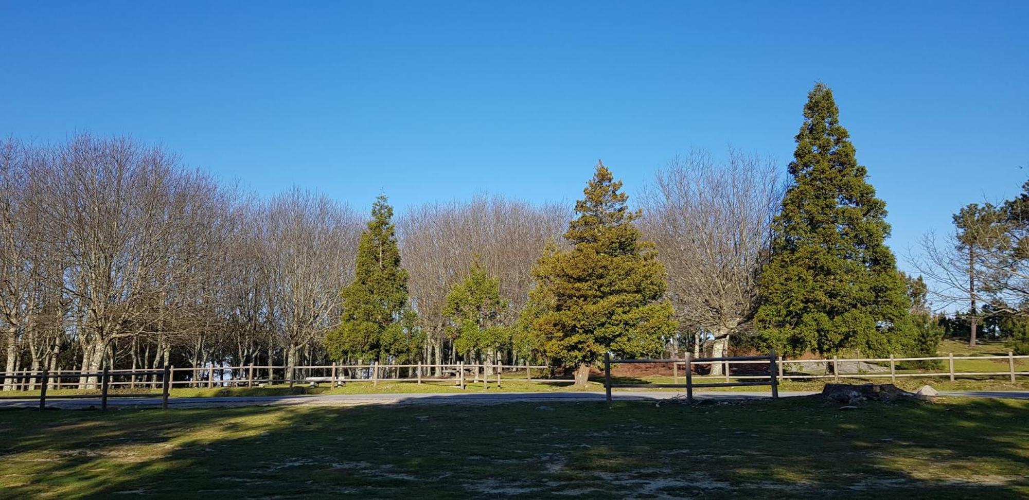 Arenales Azules Daire Baiona Dış mekan fotoğraf